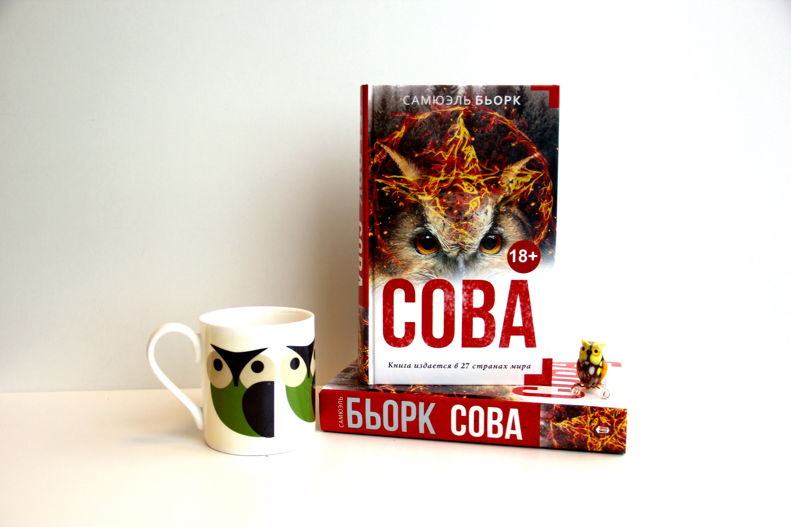 Самюэль бьорк. Книга Сова (Бьорк с.). Сова Сэмюэль Бьорк. Самюэль Бьорк книги. Сова Самюэль Бьорк аудиокнига.