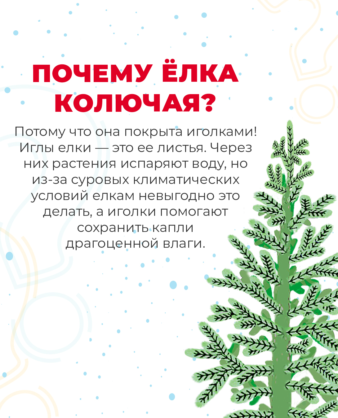 Карточки‑шпаргалки для родителей с ответами на вопросы детей о Новом годе |  Издательство АСТ