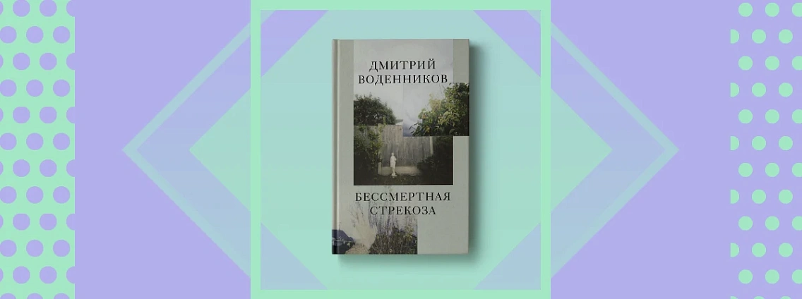 «Бессмертная стрекоза» — новый сборник эссе Дмитрия Воденникова